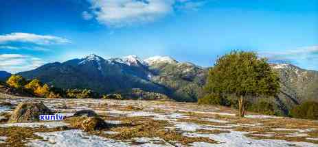 邦东大雪山茶的特点-邦东大雪山茶叶口感