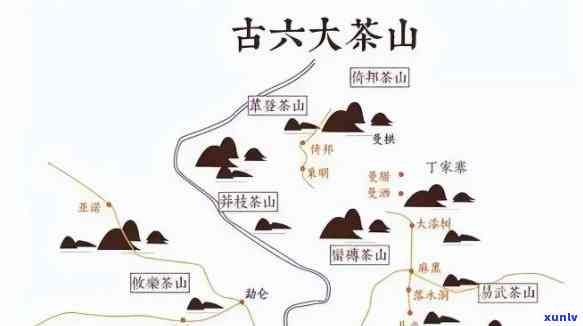 探秘勐库大雪山：古茶树分布、口感全解析