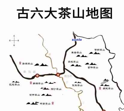 探秘勐库大雪山：古茶树分布、口感全解析