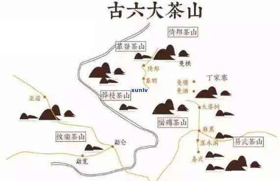 探秘勐库大雪山：古茶树分布、口感全解析