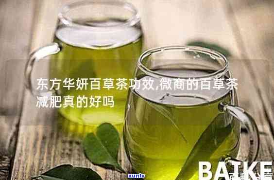 喝百草茶可以减肥吗，探究百草茶的减肥效果：真的有效吗？