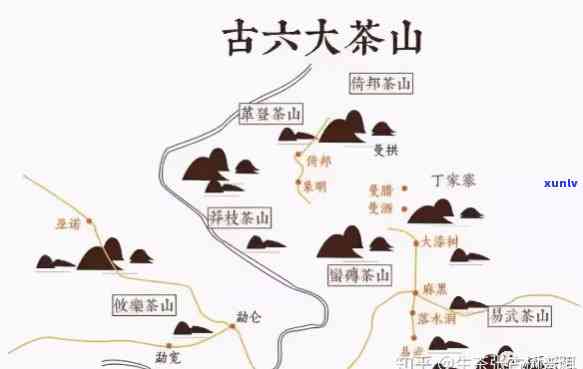 大雪山茶区：所属及主要山头介绍