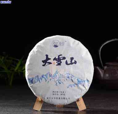 勐库大雪山茶厂：冰岛古树茶运营与配货中心