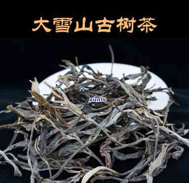 大雪山茶在哪个位置好，寻找优质茶叶？了解大雪山茶的生长位置！