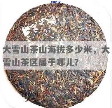 三岁宝宝适宜饮用普洱茶：优点与注意事项