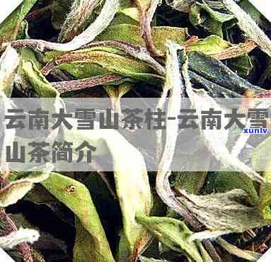 三岁宝宝适宜饮用普洱茶：优点与注意事项