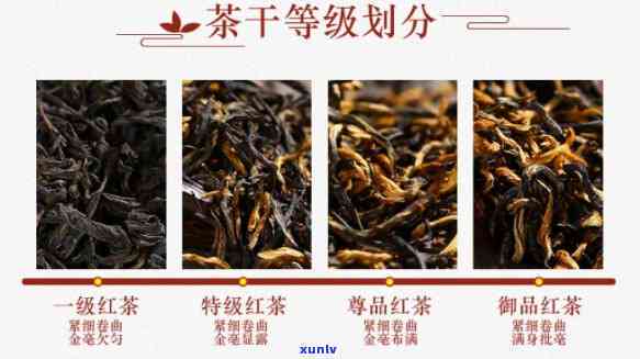 彩云贵1420红茶-彩云贵1420红茶价格