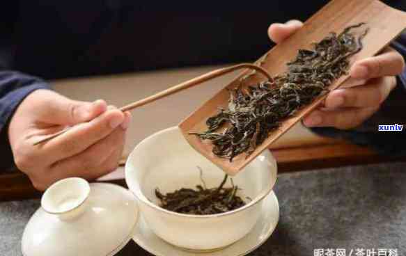 什么茶会做成茶饼，揭秘：哪些茶叶会被制成茶饼？