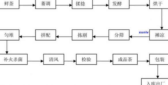 红茶 *** 工艺中最重要的程序是什么？探讨其关键步骤