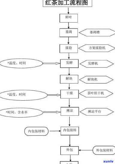 红茶最重要的加工工艺是什么？探讨其关键工艺与知名