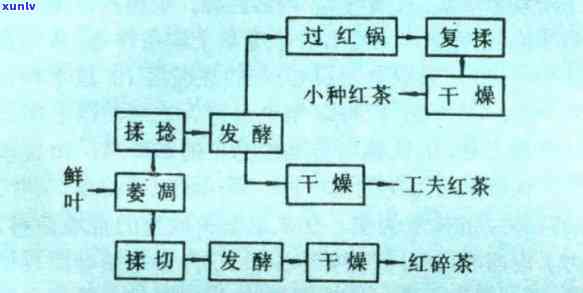 红茶最重要的加工工艺是什么？探讨其关键工艺与知名