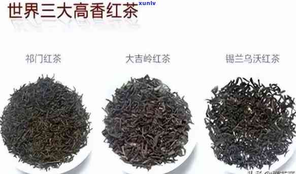 世界四大高香红茶是-世界四大高香红茶是哪四种