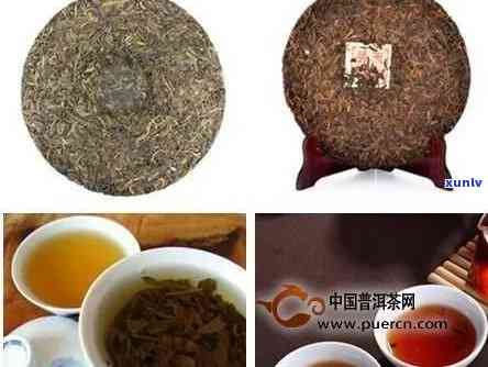 大雪山茶都是假的吗？价格昂贵的原因是什么？