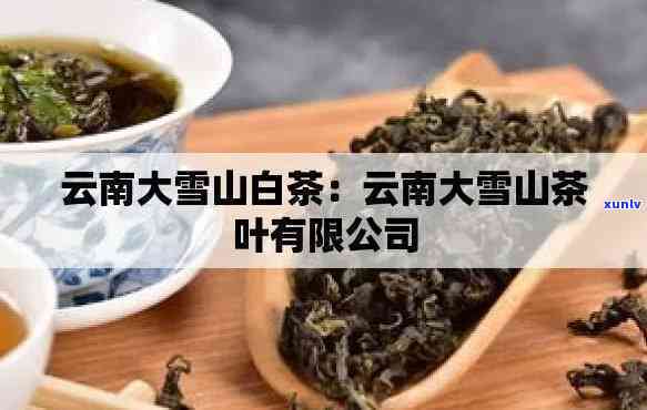 云南临沧邦马大雪山茶叶 *** 信息及联系方式