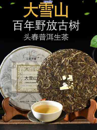 云南临沧大雪山普洱茶：口感与历的交织