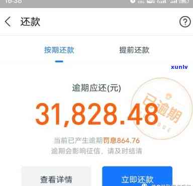 支付宝花呗借呗逾期500天：上门及结果解析