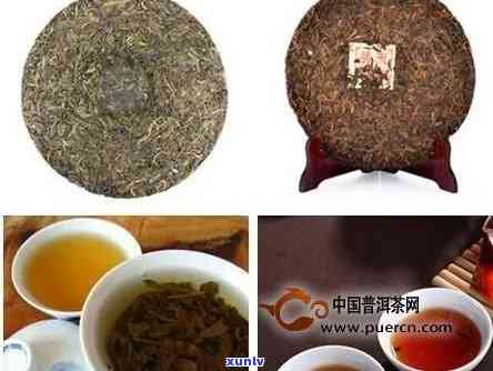 大雪山茶保质期多久？价格贵吗？值得购买吗？