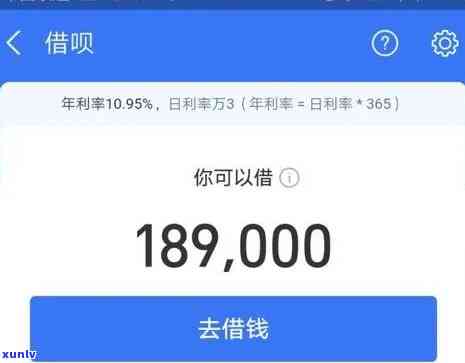 花呗网商贷都逾期了可以先还网商贷吗，优先偿还网商贷：花呗与网商贷均逾期的解决方案