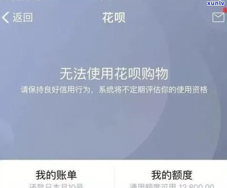 花呗网商贷都逾期了可以先还网商贷吗，优先偿还网商贷：花呗与网商贷均逾期的解决方案