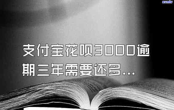 花呗3000六年未还：利息计算  及解决方案