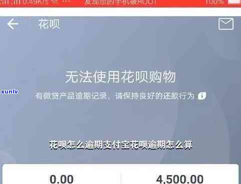 花呗30000六月未还，怎样计算逾期？