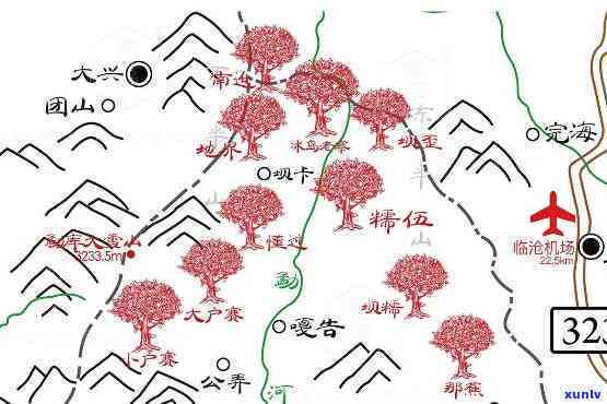 龙园普洱茶饼价格及购买渠道全面解析：如何选择最适合自己的茶叶