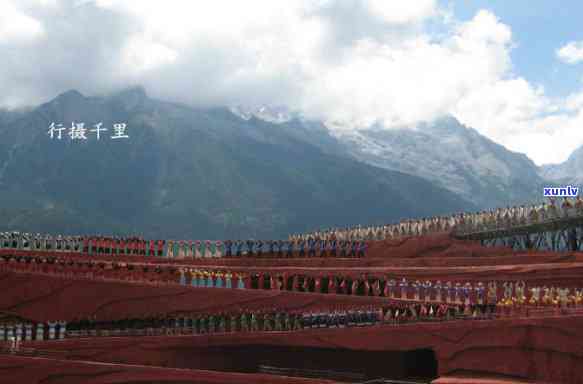 云南大雪山茶叶：雪山灵养生茶，由云南大雪山茶叶专业出品