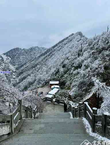 四川宜宾筠连县大雪山山顶：风景旅游区全览