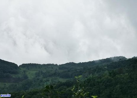 阳绿翡翠戒指，璀璨夺目：探索阳绿翡翠戒指的美丽与价值