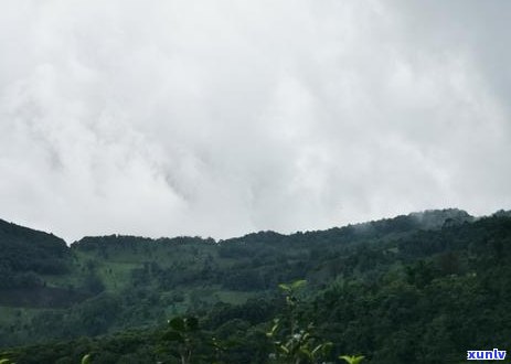 阳绿翡翠戒指，璀璨夺目：探索阳绿翡翠戒指的美丽与价值