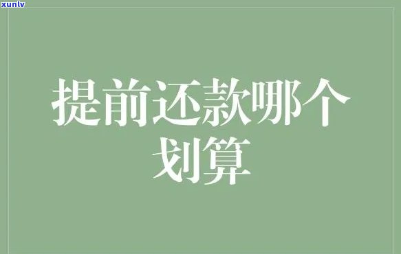 怎样还款比较划算呢，精打细算：探讨怎样还款更划算的策略