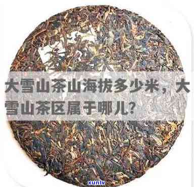 红皮龙泡什么茶-红皮龙泡什么茶喝