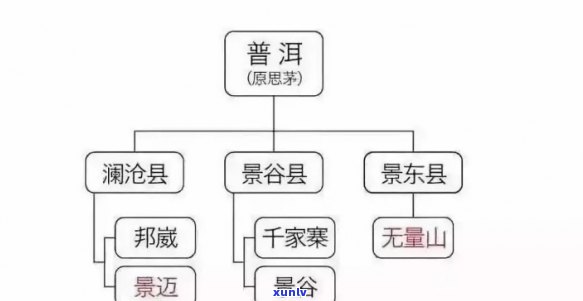 普洱茶用铁罐或铝罐保存：哪种更好？