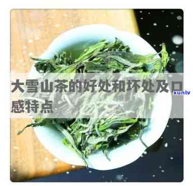 大雪山茶有什么特点-大雪山茶有什么特点和作用