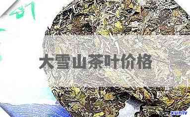 滇红月：美丽与挑战并存的玫瑰品种分析