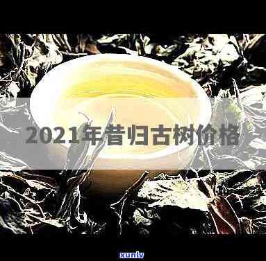 昔归古树树龄介绍及2021年价格