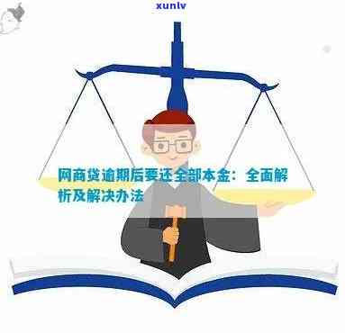 网商贷逾期后要还全部本金，网商贷逾期解决：全额偿还本金的必要性