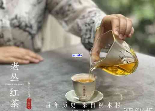 保杯能泡红茶吗？女性也适用，答案在这里！