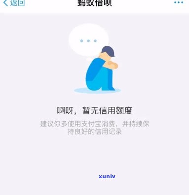 借了网商贷不还会怎样-借了网商贷不还会怎样呢