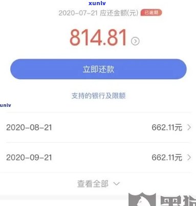 网商贷逾期多久需全额还款？作用因素解析