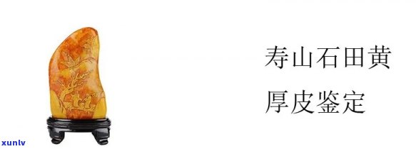 天然田黄石原石皮图片大全：多裂情况展示