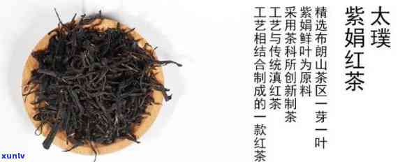 紫鹃茶属于红茶吗，揭秘茶叶种类：紫鹃茶是否属于红茶？