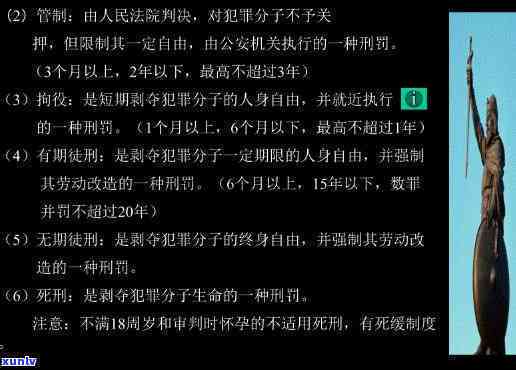 凤凰展翅：刑法与DJ的双面解读