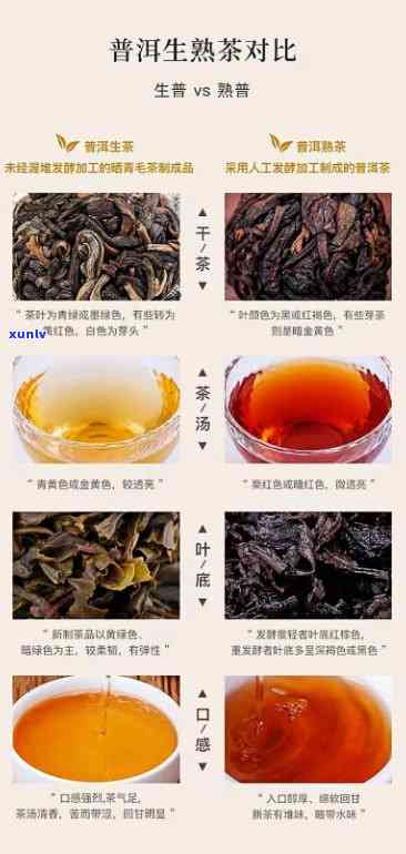 八马茶业信记号年份普洱茶，品味历，探索口感：八马茶业信记号年份普洱茶的魅力