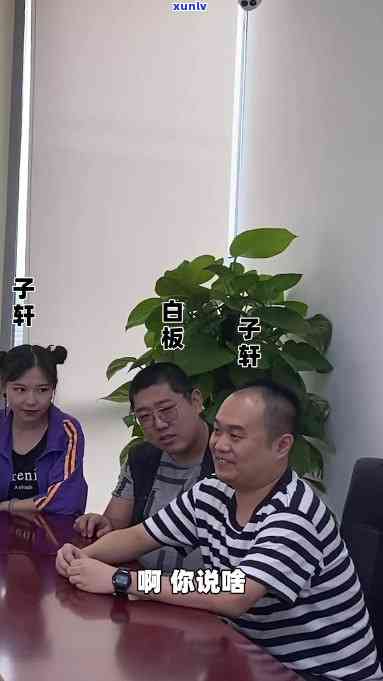 子轩老师鉴宝简历，揭秘子轩老师鉴宝经历：一份详实的简历展示其专业素养与独特眼光