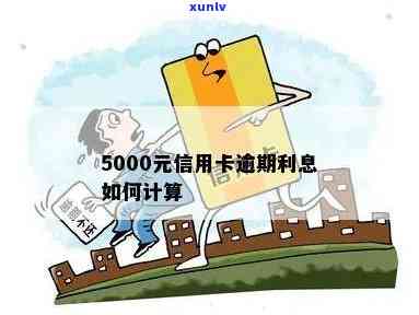 信用卡5000利息怎么算利息，怎样计算信用卡5000元的利息？