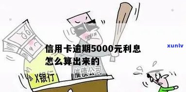 信用卡5000利息怎么算利息，怎样计算信用卡5000元的利息？