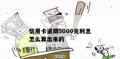 信用卡5000利息怎么算的，怎样计算信用卡5000元的利息？详细步骤解析