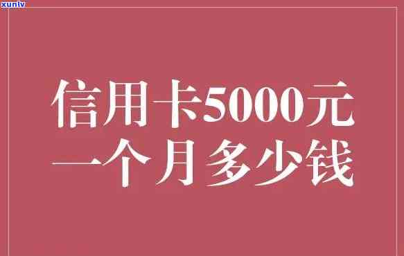 信用卡5000利息怎么算的，怎样计算信用卡5000元的利息？详细步骤解析