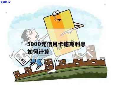 信用卡5000利息多少钱，怎样计算信用卡5000元的利息？